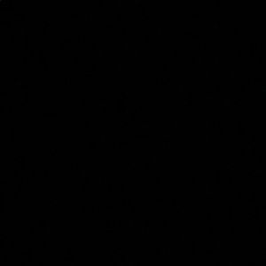 Meet your Posher, Gianna